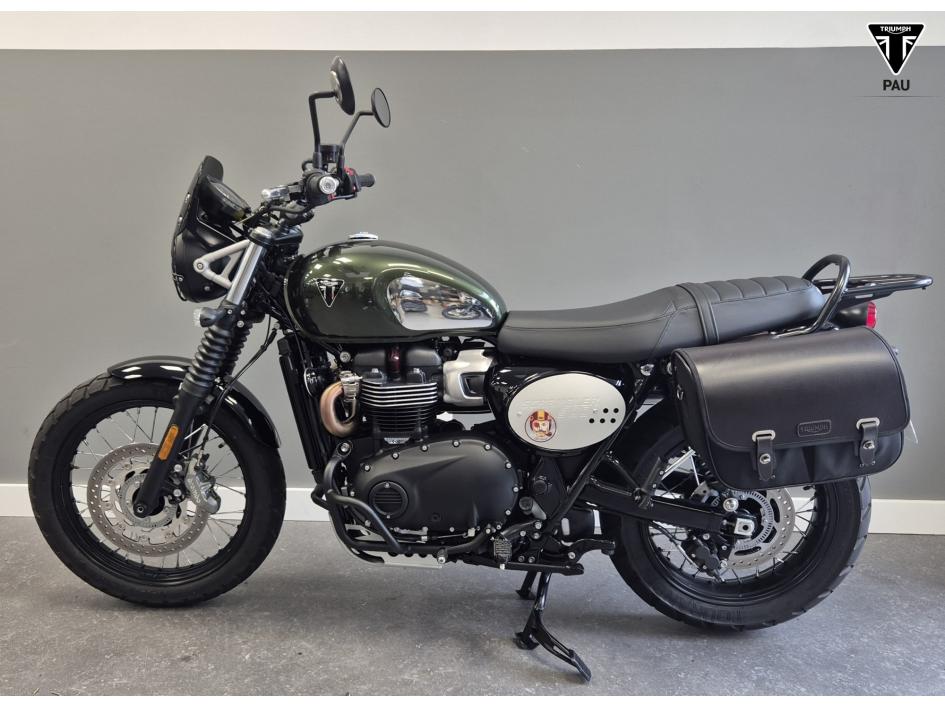TRIUMPH SCRAMBLER 900 2024